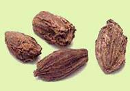 Exporters of Cardamom essential oil cardamom essential oil natural and pure cardamom oil.